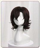 Bungou Stray Dogs Osamu Dazai Genderband Female Brown Cosplay Wigs
