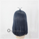 Maximillion Pegasus Pegasus J. Crawford Aster Edo Phoenix Zane Truesdale Ryo Marufuji Blue Silver Styled Cosplay Wig