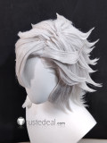 Final Fantasy XIV FF14 Miqo'te G'raha Tia Fandanie Haurchefant Greystone Male Elezen Silver White Blue Black Red Cosplay Wigs