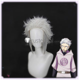 Pokemon Subway Boss Best Wishes Ingo Nobori Steven Stone Chloe Cerise Chairman Rose Purple Blue Silver Styled Cosplay Wigs