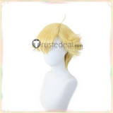 Pokemon Barry Skyla Maxie Clair Blue Red Styled Cosplay Wig