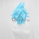 Pokemon Subway Boss Best Wishes Ingo Nobori Steven Stone Chloe Cerise Chairman Rose Purple Blue Silver Styled Cosplay Wigs