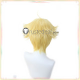 Pokemon Barry Skyla Maxie Clair Blue Red Styled Cosplay Wig