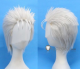 FullMetal Alchemist Scar Silver Grey Styled Cosplay Wig