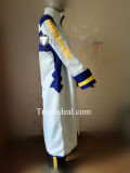 Vocaloid Kaito Cosplay Costume