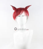 Final Fantasy FFXIV FF14 Emet-Selch Crystal Exarch G'raha Tia Styled Cosplay Wig