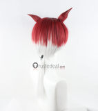 Final Fantasy FFXIV FF14 Emet-Selch Crystal Exarch G'raha Tia Styled Cosplay Wig