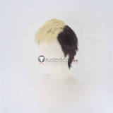 The King of Fighters KOF SNK Iori Yagami King Terry Nameless Goenitz Styled Cosplay Wigs