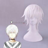 A Certain Magical Index Toaru Majutsu no Index Accelerator White Cosplay Wig