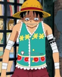One Piece Luffy Cosplay Blue Green Vest
