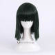 Hikaru no Go Akira Toya Black Green Cosplay Wig