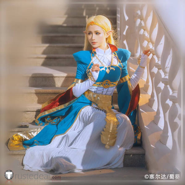 The Legend of Zelda Breath of The Wild Princess Zelda Gown Cosplay Dress