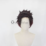 Kimetsu no Yaiba Demon Slayer Tanjiro Kamado Ponytail Styled Cosplay Wig