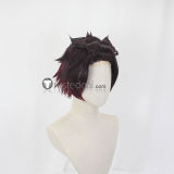 Kimetsu no Yaiba Demon Slayer Tanjiro Kamado Ponytail Styled Cosplay Wig