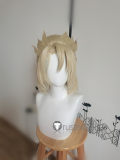 Genshin Impact Albedo Xiao Ayato Kamisato Styled Cosplay Wigs