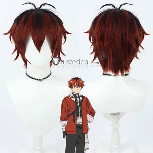 Sousou no Frieren Frieren Beyond Journey's End Himmel Stark Fern Purple Cosplay Wig