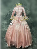 Barbie as The Princess and The Pauper Anneliese Erika Pink Blue Dress Cosplay Costume