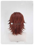 Fairy Tail Zancrow Gildarts Clive Blonde Brown Styled Cosplay Wig