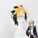 Shokugeki no Soma Terunori Kuga Arato Hisako Shinomiya Kojiro Nakiri Erina Kurokiba Ryou Pink Styled Cosplay Wig