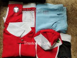 Pokemon Trainer Red Cosplay Costumes