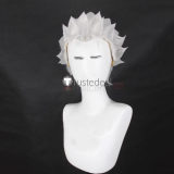 Devil May Cry 5 DMC5 Vergil Silver Styled Cosplay Wig