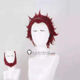 Fate Stay Night Fate Zero Rider Diarmuid Ua Duibhne Iskandar Alexander Gilgamesh Styled Cosplay Wig