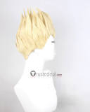 Fate Stay Night Fate Zero Rider Diarmuid Ua Duibhne Iskandar Alexander Gilgamesh Styled Cosplay Wig