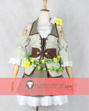 Love Live Land of the Fairies Fairyland Nico Rin Umi Nozomi Kotori Hanayo Maki Eli Honoka Cosplay Costume