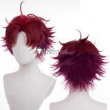 Paradox Live BAE Allen Sugasano Yeon Hajun Anne Faulkner Cosplay Wigs