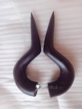The Gray Garden Kcalb Dialo Reficul Passing Demon Devil Tail Horns Cosplay Accessories Props