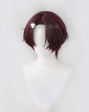 WIND BREAKER Haruka Sakura Hayato Suo Hajime Umemiya Kyotaro Sugishita Choji Tomoyama Cosplay Wig