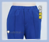 Pokemon Scarlet and Violet DLC Male Female Blueberry Academy Uniform Cosplay Costume