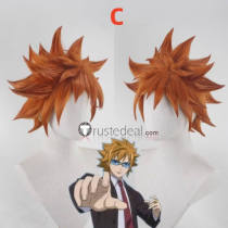 Fairy Tail The Lion Loke Leo Loki Orange Brown Styled Cosplay Wig