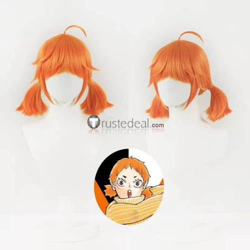 Haikyuu Karasuno High School Shoyo Hinata Natsu Orange Cosplay Wig