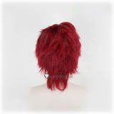 Jojo's Bizarre Adventure Noriaki Kakyoin Dio Brando Shinobu Kawajiri Kira Yoshikage Black Styled Cosplay Wig