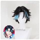 Paradox Live VISTY Shogo Yamato Chungsung Baek Itsuki Styled Cosplay Wig