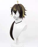 Touken Ranbu Kashagiri Fukushima Mitsutada Hanjin Magoroku Kanemoto Black Pink Brown Cosplay Wig