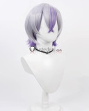 Touken Ranbu Jikkyuu Mitsutada Minamoto Kiyomaro Taikei Naotane Purple Silver Black Cosplay Wig