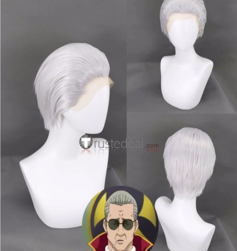 Gintama Silver Soul Matsudaira Katakuriko Silver White Styled Cosplay Wig