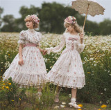 Miss Point ~The Beauty of Spring Flower Wall Lolita JSK -Pre-order