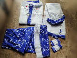 Touhou Project Kochiya Sanae Cosplay Costume