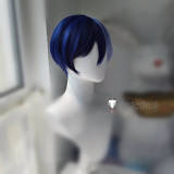Project Sekai Aoyagi Toya Kamishiro Rui Shinonome Akito Kaito Blue Cosplay Wig