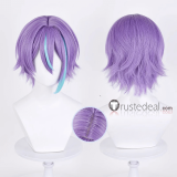 Project Sekai Aoyagi Toya Kamishiro Rui Shinonome Akito Kaito Blue Cosplay Wig