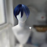 Project Sekai Aoyagi Toya Kamishiro Rui Shinonome Akito Kaito Blue Cosplay Wig