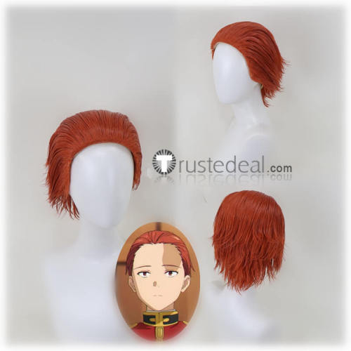 Sousou no Frieren Frieren Beyond Journey's End Sein Fern Stark Red Purple Styled Cosplay Wig