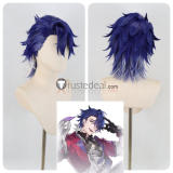 Commission Honkai Star Rail Feixiao Fugue Tingyun Sampo Blue Silver Ponytail Prestyled Cosplay Wig