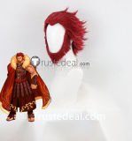 Fate Stay Night Fate Zero Rider Diarmuid Ua Duibhne Iskandar Alexander Gilgamesh Styled Cosplay Wig