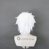 Re Zero Kara Hajimeru Isekai Seikatsu Roswaal L. Mathers Reinhard van Astrea Regulus Corneas White Red Styled Cosplay Wig