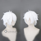 Re Zero Kara Hajimeru Isekai Seikatsu Roswaal L. Mathers Reinhard van Astrea Regulus Corneas White Red Styled Cosplay Wig