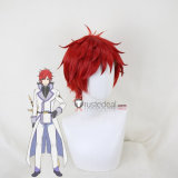 Re Zero Kara Hajimeru Isekai Seikatsu Roswaal L. Mathers Reinhard van Astrea Regulus Corneas White Red Styled Cosplay Wig